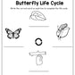 Educational Activity Kits for Kids
