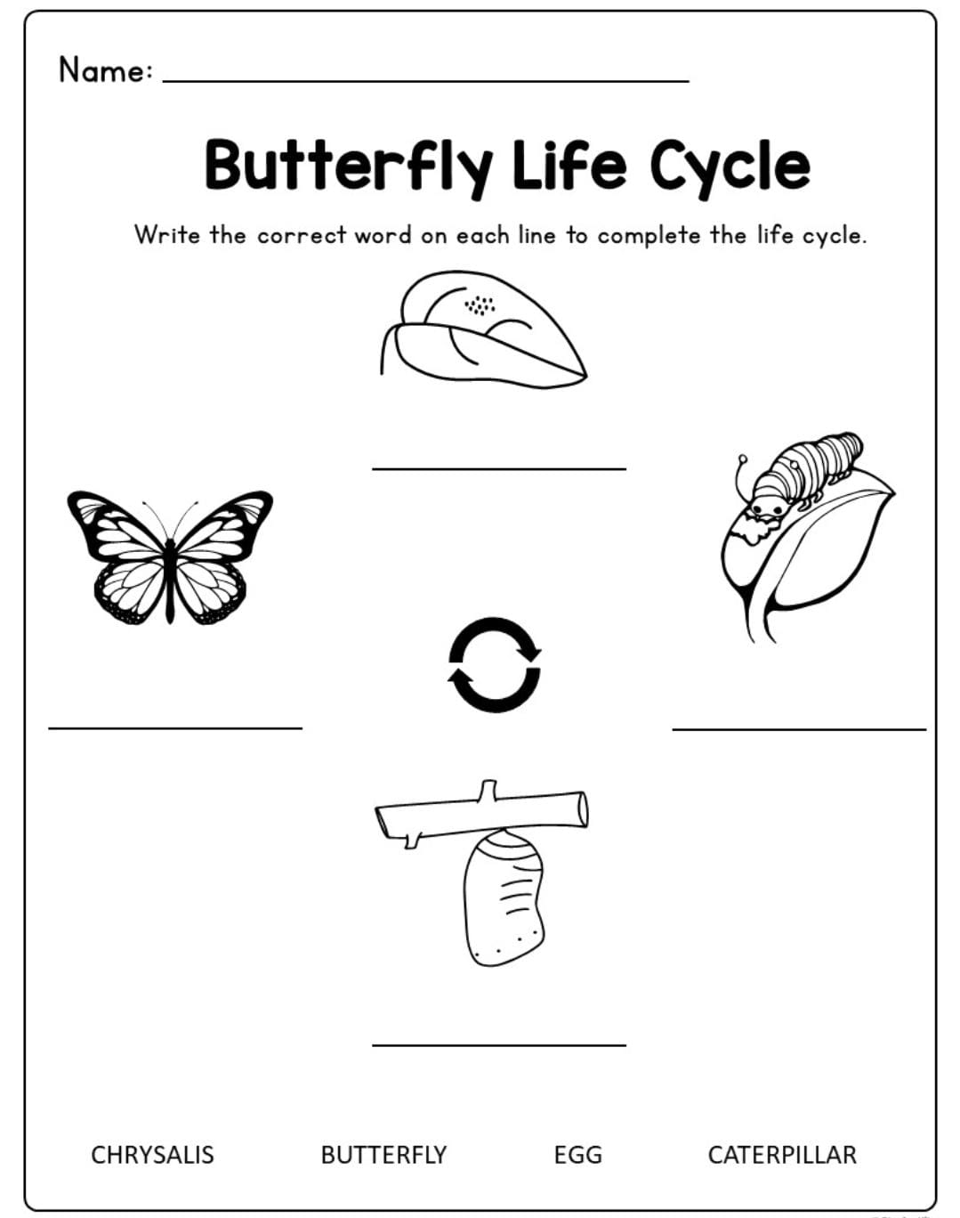 Educational Activity Kits for Kids